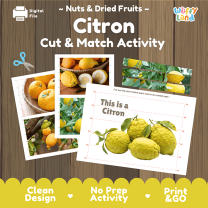 Citron Cut and Match Activity Worksheets | Nuts and Dried Fruits Puzzle Printables