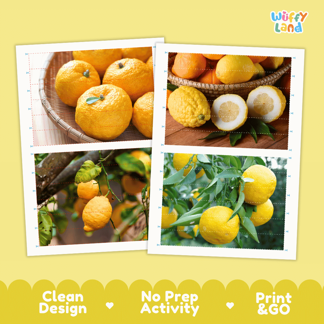 Citron Cut and Match Activity Worksheets | Nuts and Dried Fruits Puzzle Printables