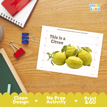 Citron Cut and Match Activity Worksheets | Nuts and Dried Fruits Puzzle Printables
