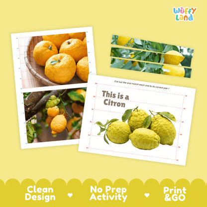 Citron Cut and Match Activity Worksheets | Nuts and Dried Fruits Puzzle Printables