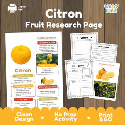 Citron Fruit Research Page Worksheet Activity | Science Healthy Eating Citrus
