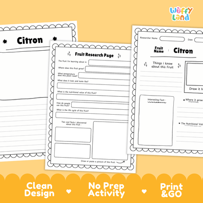 Citron Fruit Research Page Worksheet Activity | Science Healthy Eating Citrus