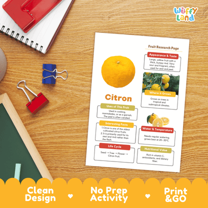 Citron Fruit Research Page Worksheet Activity | Science Healthy Eating Citrus