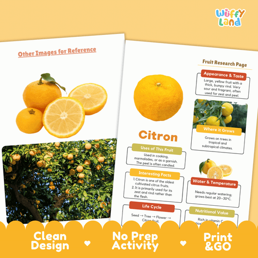 Citron Fruit Research Page Worksheet Activity | Science Healthy Eating Citrus