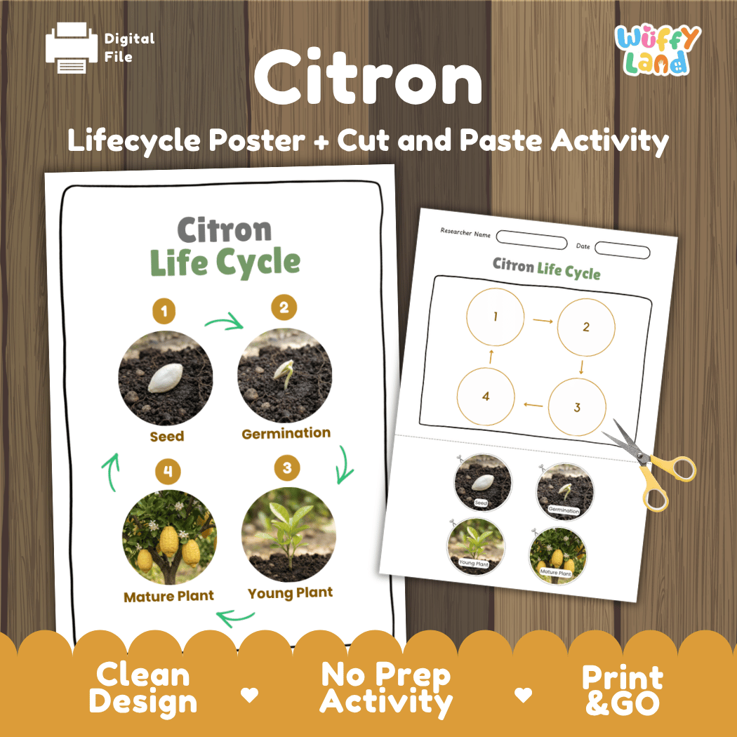Citron Life Cycle Poster and Cut and Paste Worksheet Activity