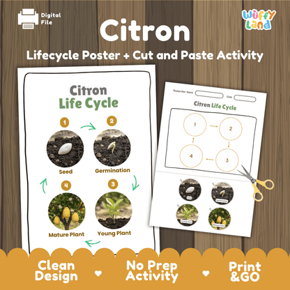 Citron Life Cycle Poster and Cut and Paste Worksheet Activity