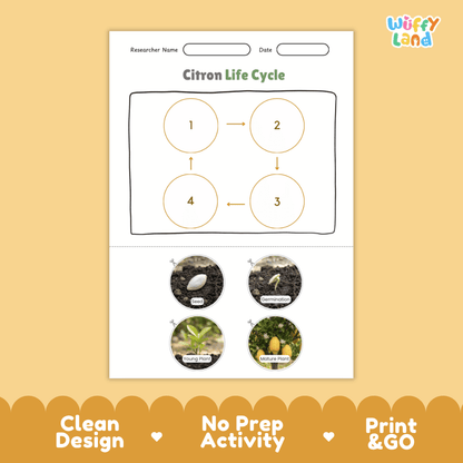 Citron Life Cycle Poster and Cut and Paste Worksheet Activity