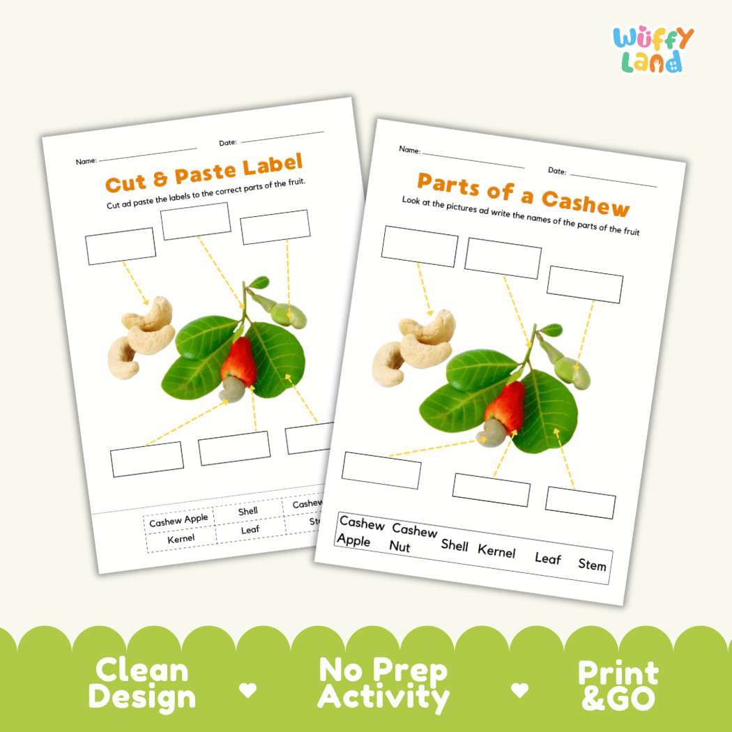 Printable cashew science activity worksheets highlighting clean design, no prep activity, and print and go badges