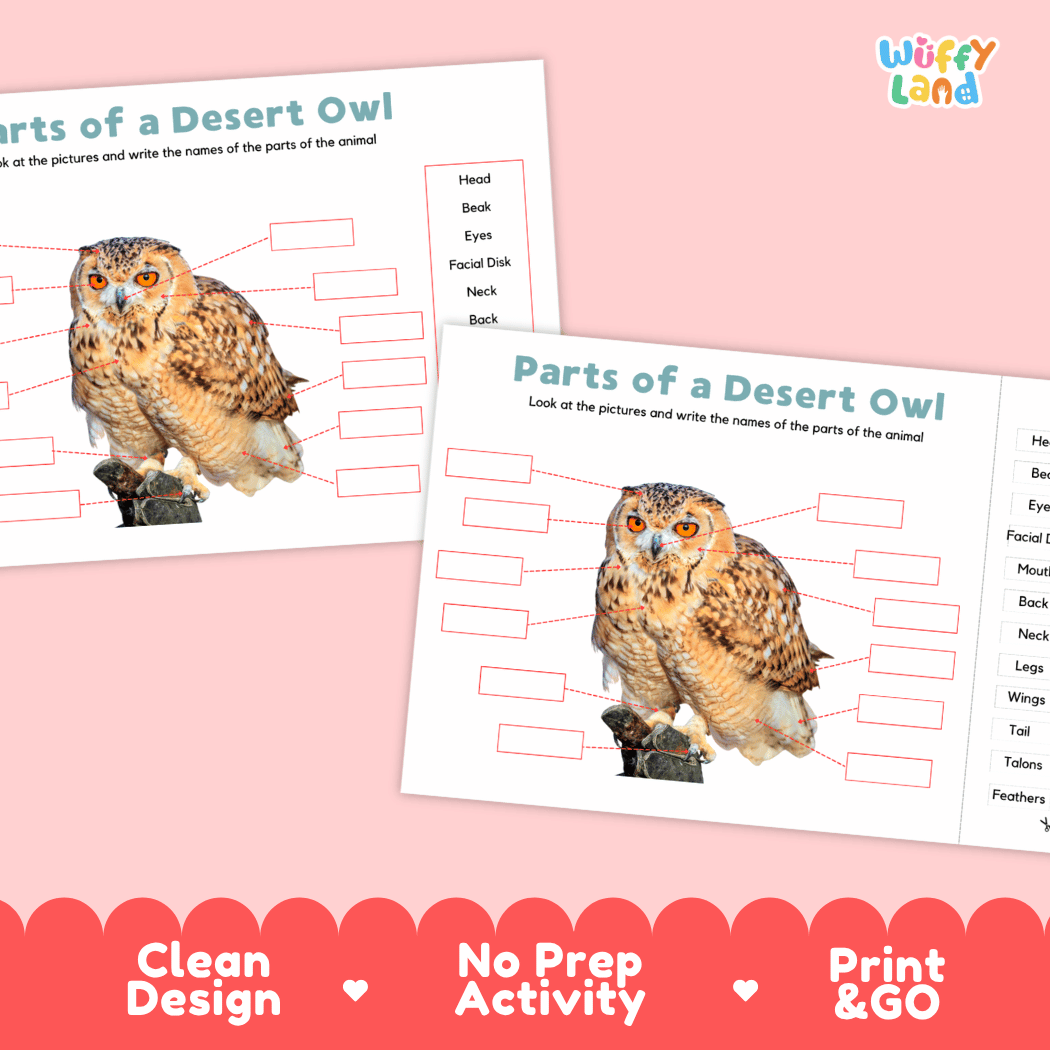 Printable desert owl science activity worksheets highlighting clean design, no prep activity, and print and go badges