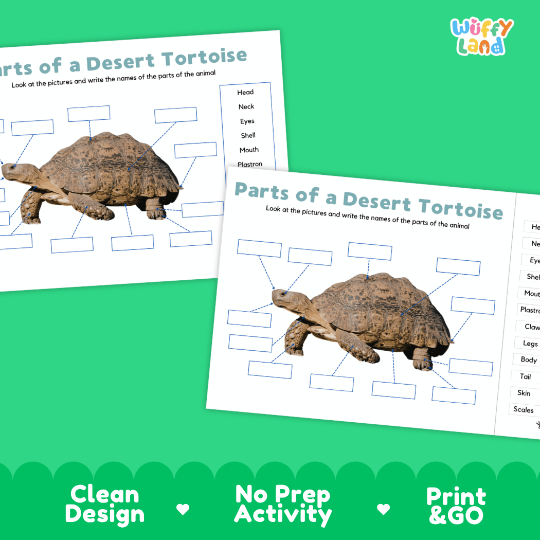 Printable desert tortoise science activity worksheets highlighting clean design, no prep activity, and print and go badges