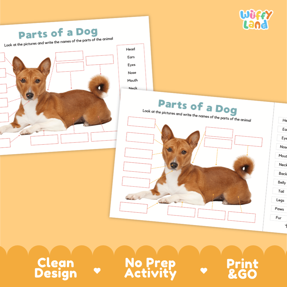 Printable dog science activity worksheets highlighting clean design, no prep activity, and print and go badges