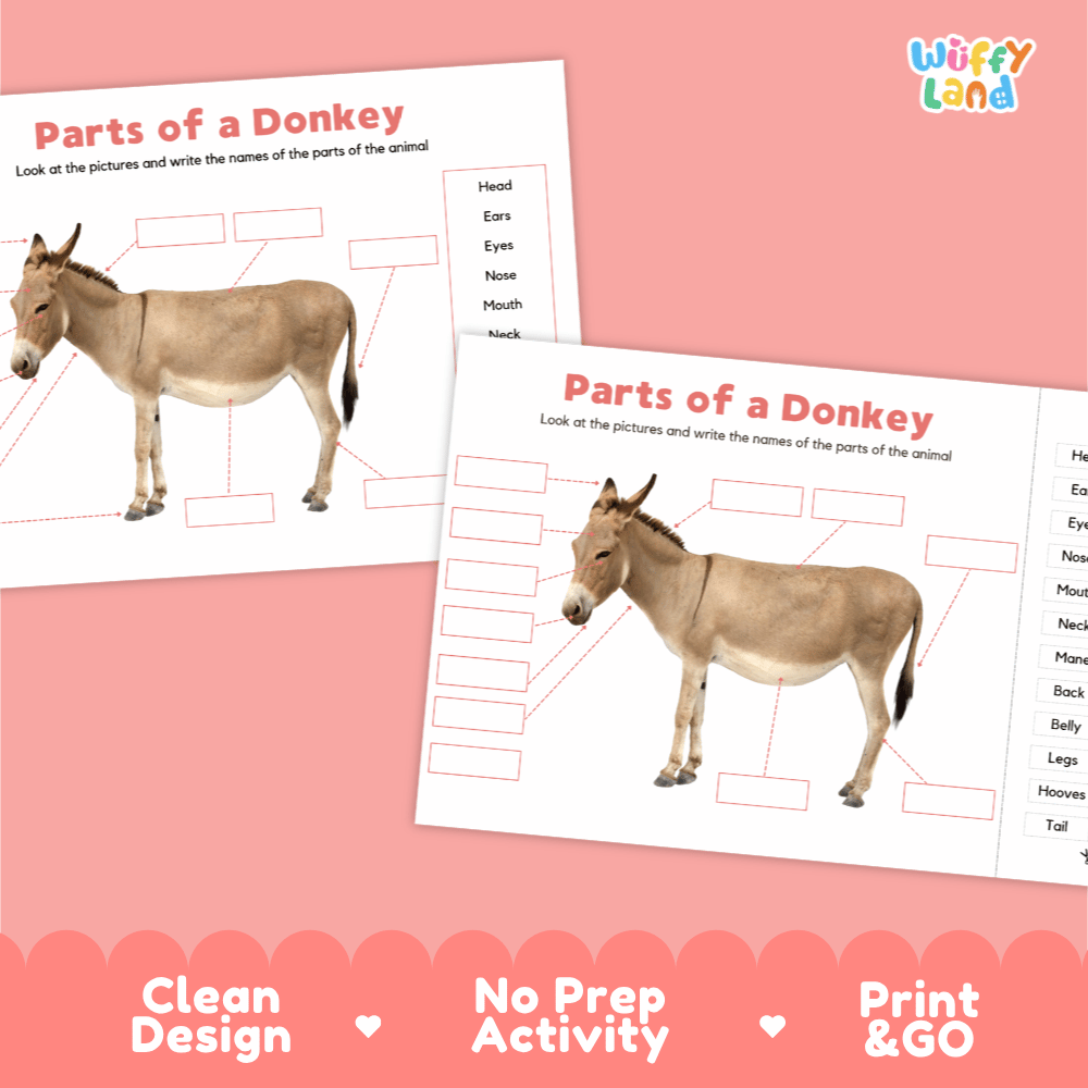 Printable donkey science activity worksheets highlighting clean design, no prep activity, and print and go badges