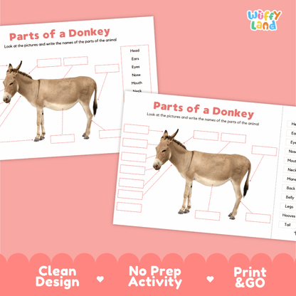 Printable donkey science activity worksheets highlighting clean design, no prep activity, and print and go badges