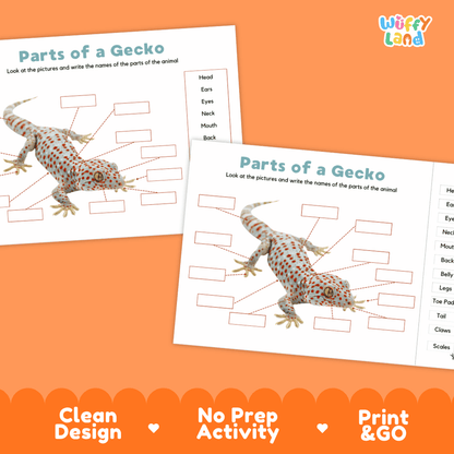 Printable gecko science activity worksheets highlighting clean design, no prep activity, and print and go badges