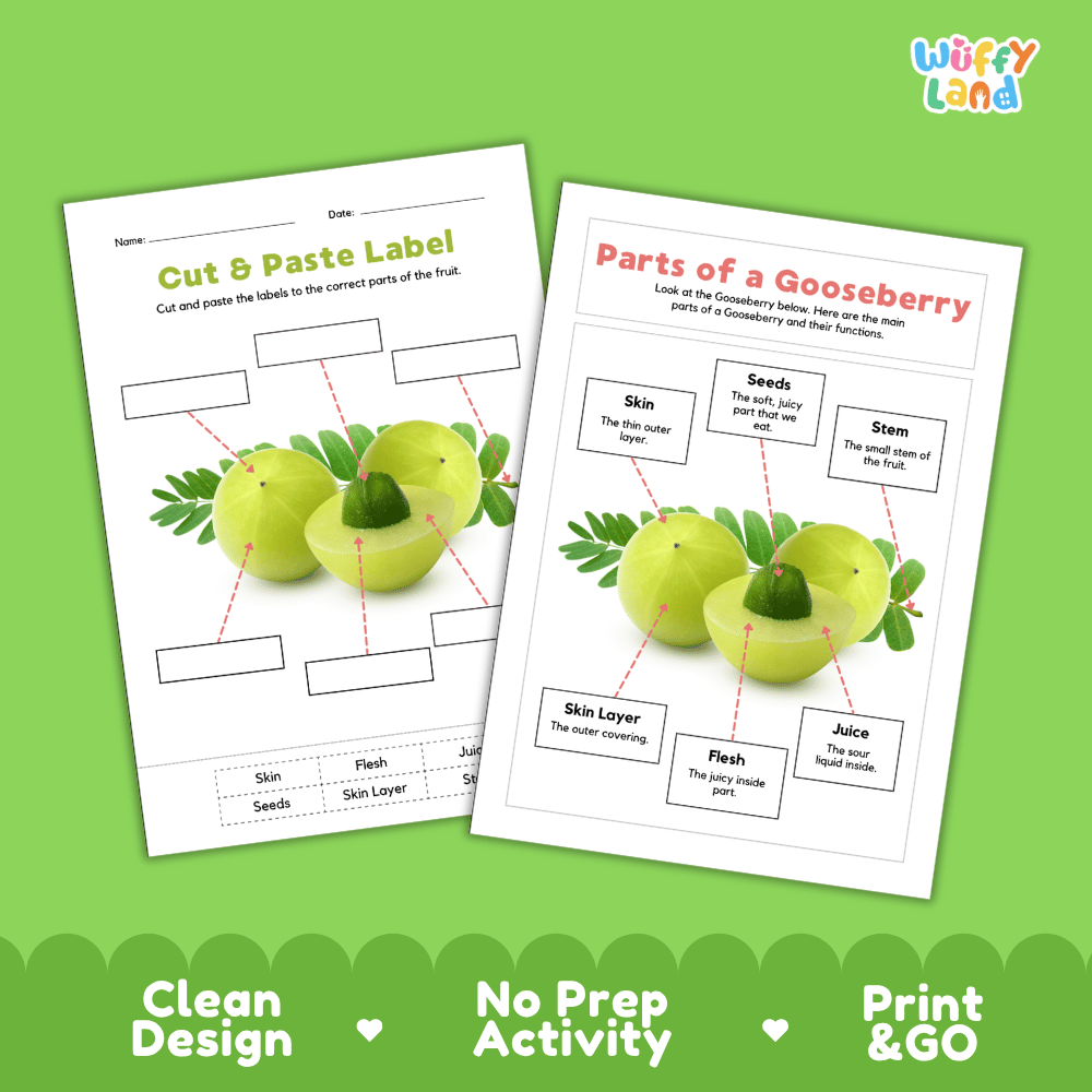 Printable gooseberry science activity worksheets highlighting clean design, no prep activity, and print and go badges