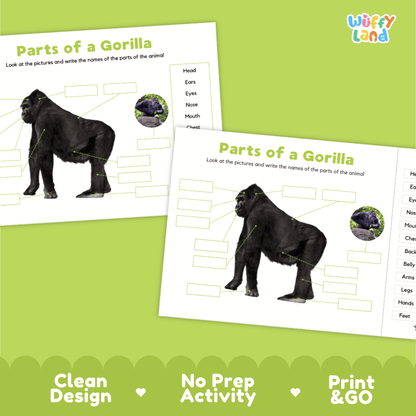 Printable gorilla science activity pages highlighting clean design, no prep activity, and print and go features
