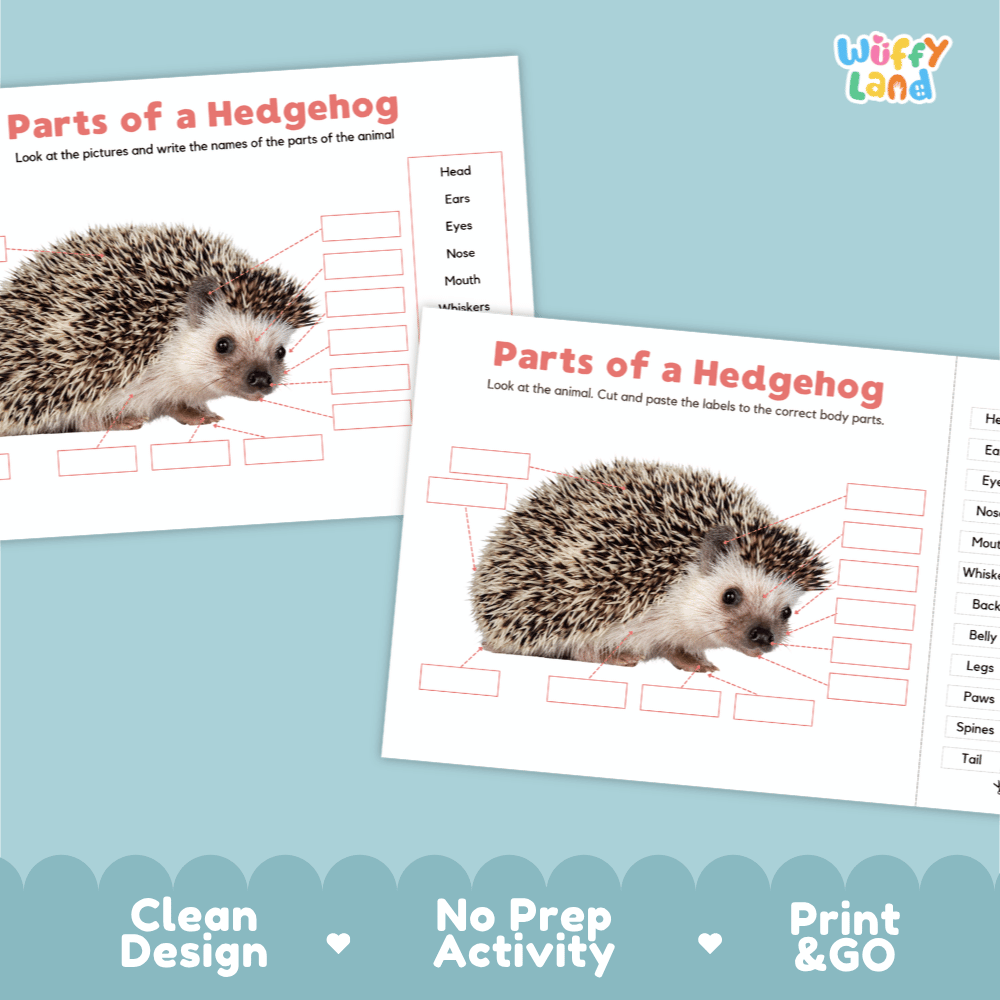 Printable hedgehog science activity worksheets highlighting clean design, no prep activity, and print and go badges