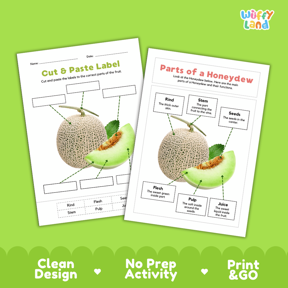 Printable honeydew science activity worksheets highlighting clean design, no prep activity, and print and go badges