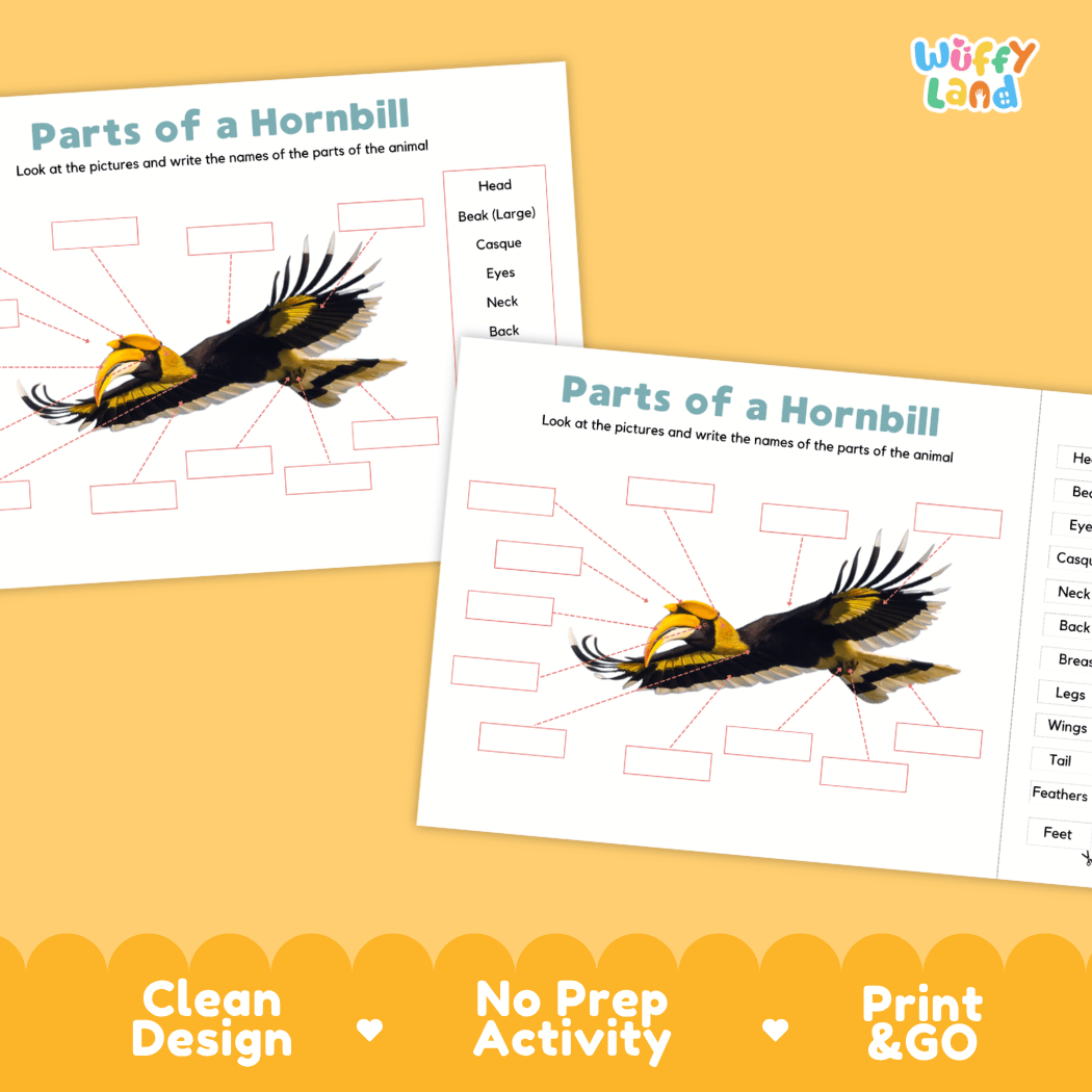 Printable hornbill science activity worksheets highlighting clean design, no prep activity, and print and go badges