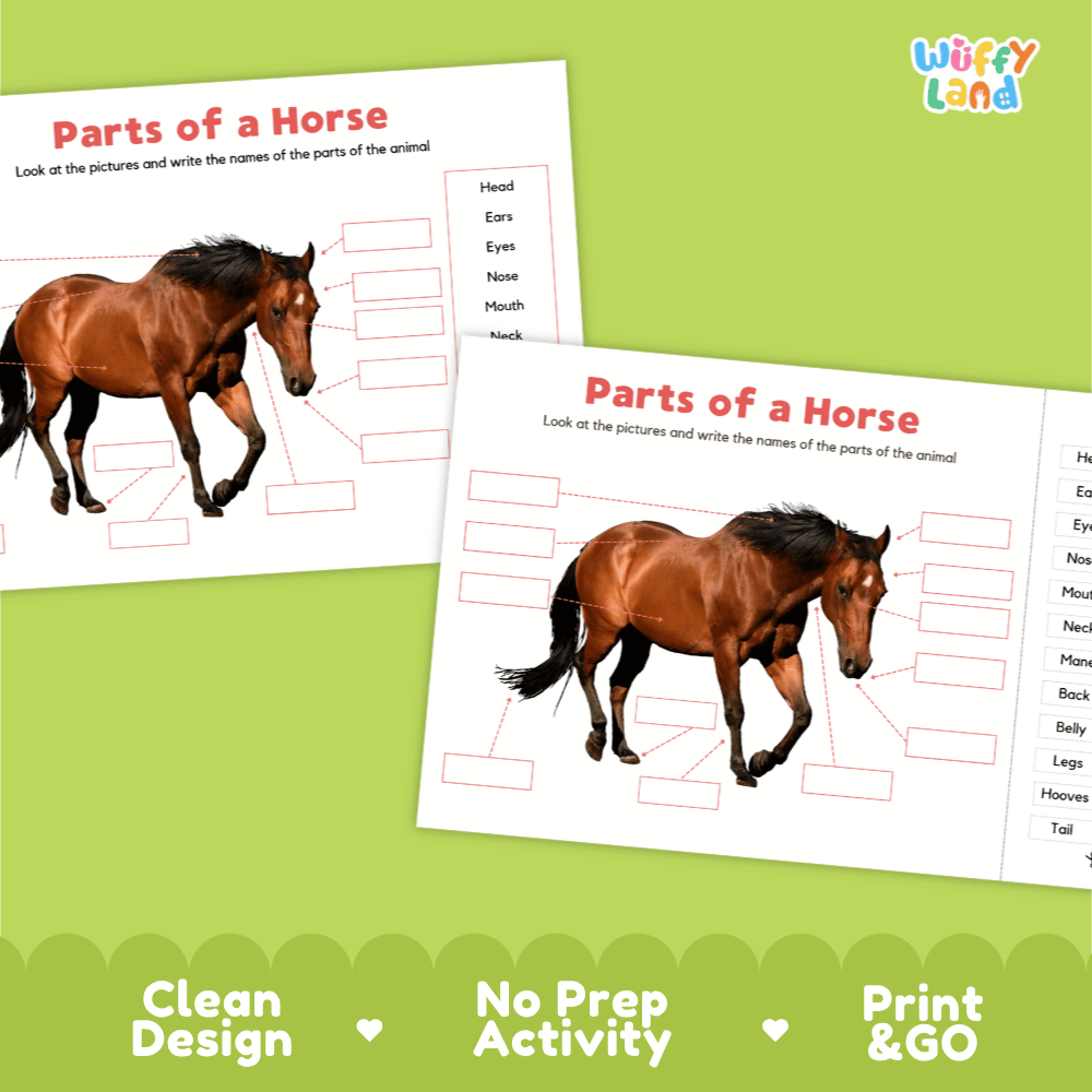 Printable horse science activity worksheets highlighting clean design, no prep activity, and print and go badges