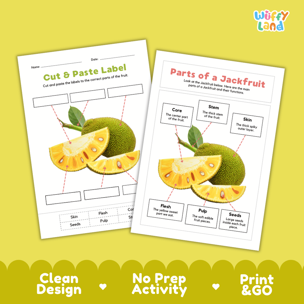 Printable jackfruit science activity worksheets highlighting clean design, no prep activity, and print and go badges