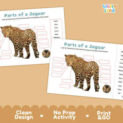 Printable jaguar science activity worksheets highlighting clean design, no prep activity, and print and go badges