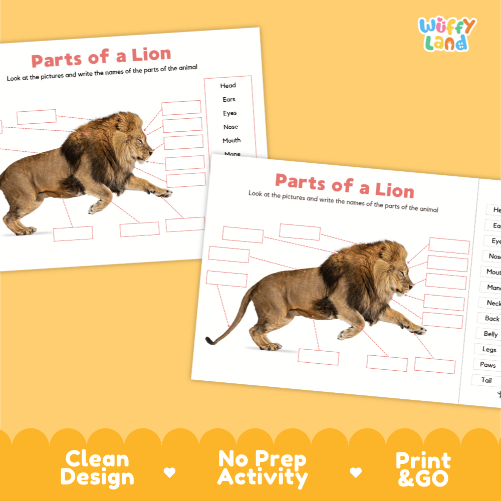 Printable lion science activity worksheets highlighting clean design, no prep activity, and print and go badges