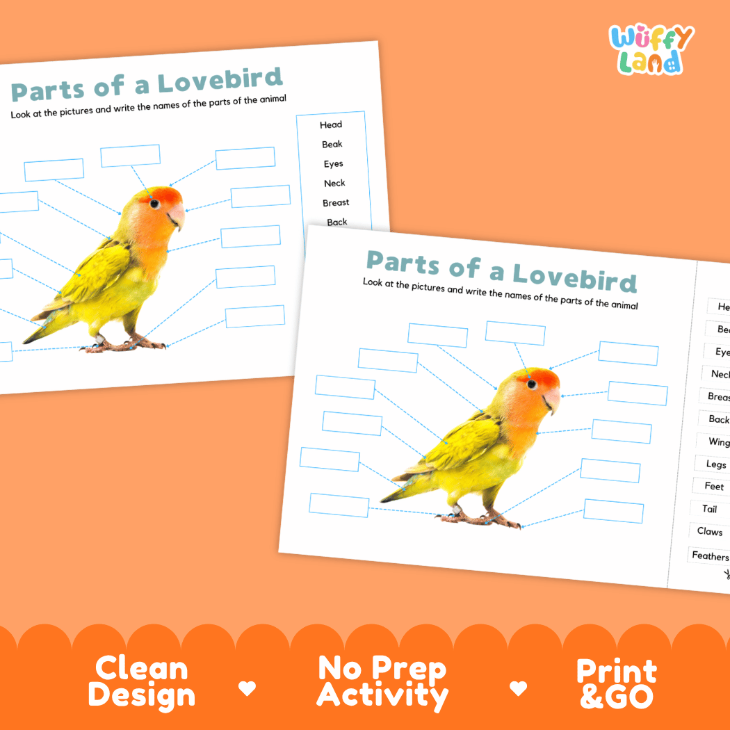 Printable lovebird science activity worksheets highlighting clean design, no prep activity, and print and go badges