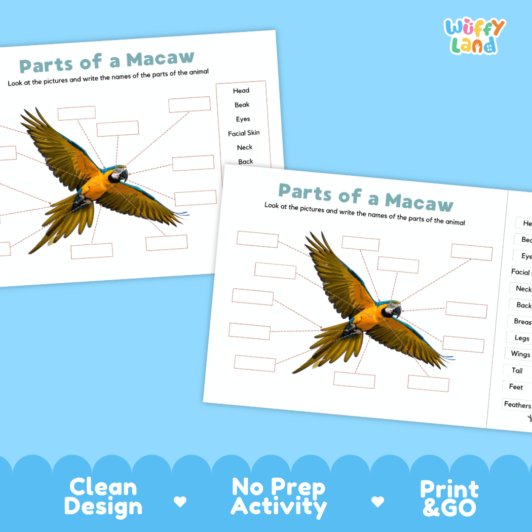 Printable macaw science activity worksheets highlighting clean design, no prep activity, and print and go badges