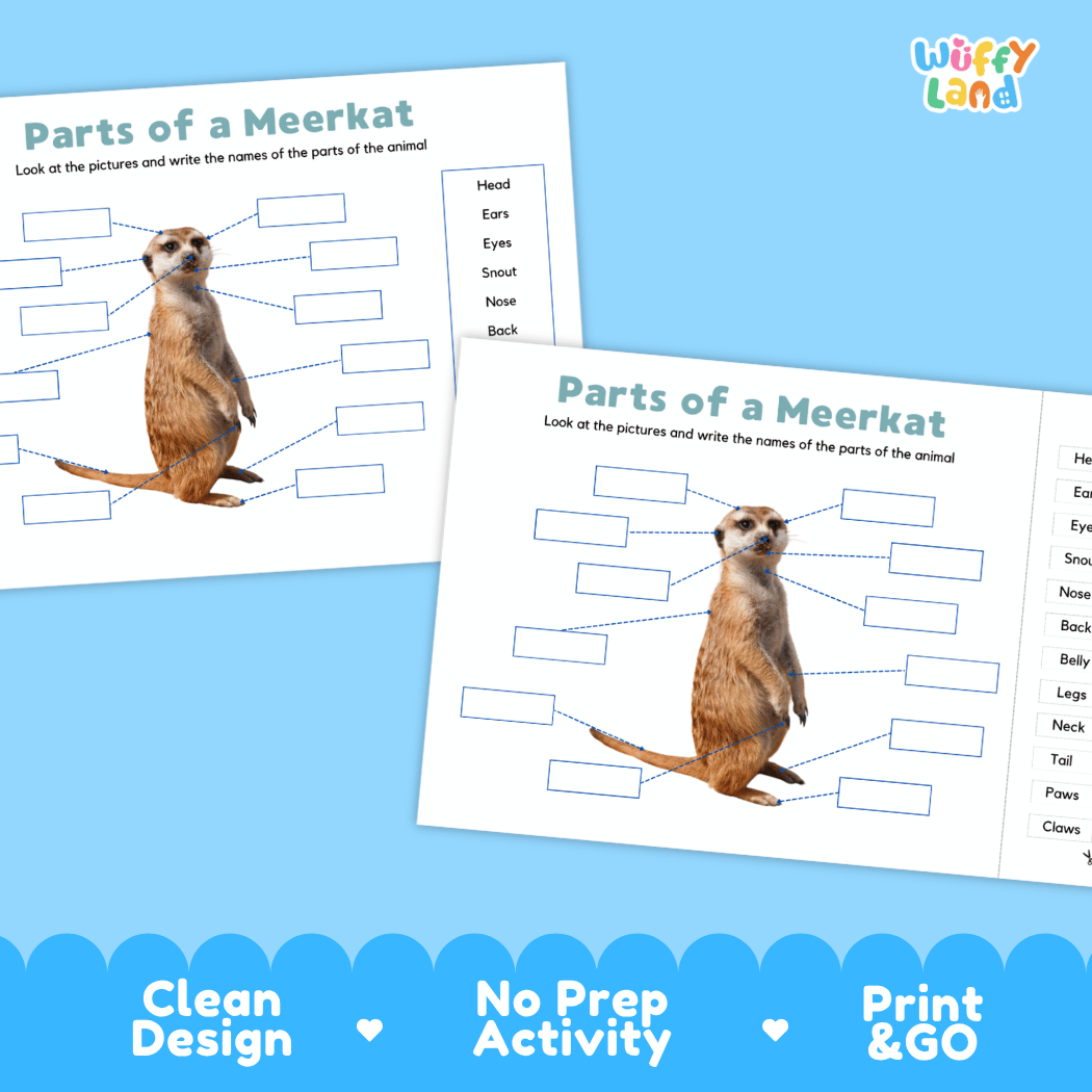 Printable meerkat science activity worksheets highlighting clean design, no prep activity, and print and go badges