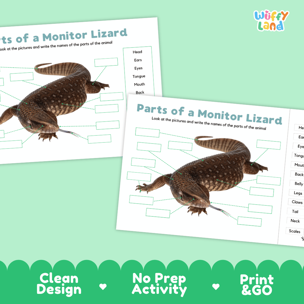 Printable monitor lizard science activity worksheets highlighting clean design, no prep activity, and print and go badges