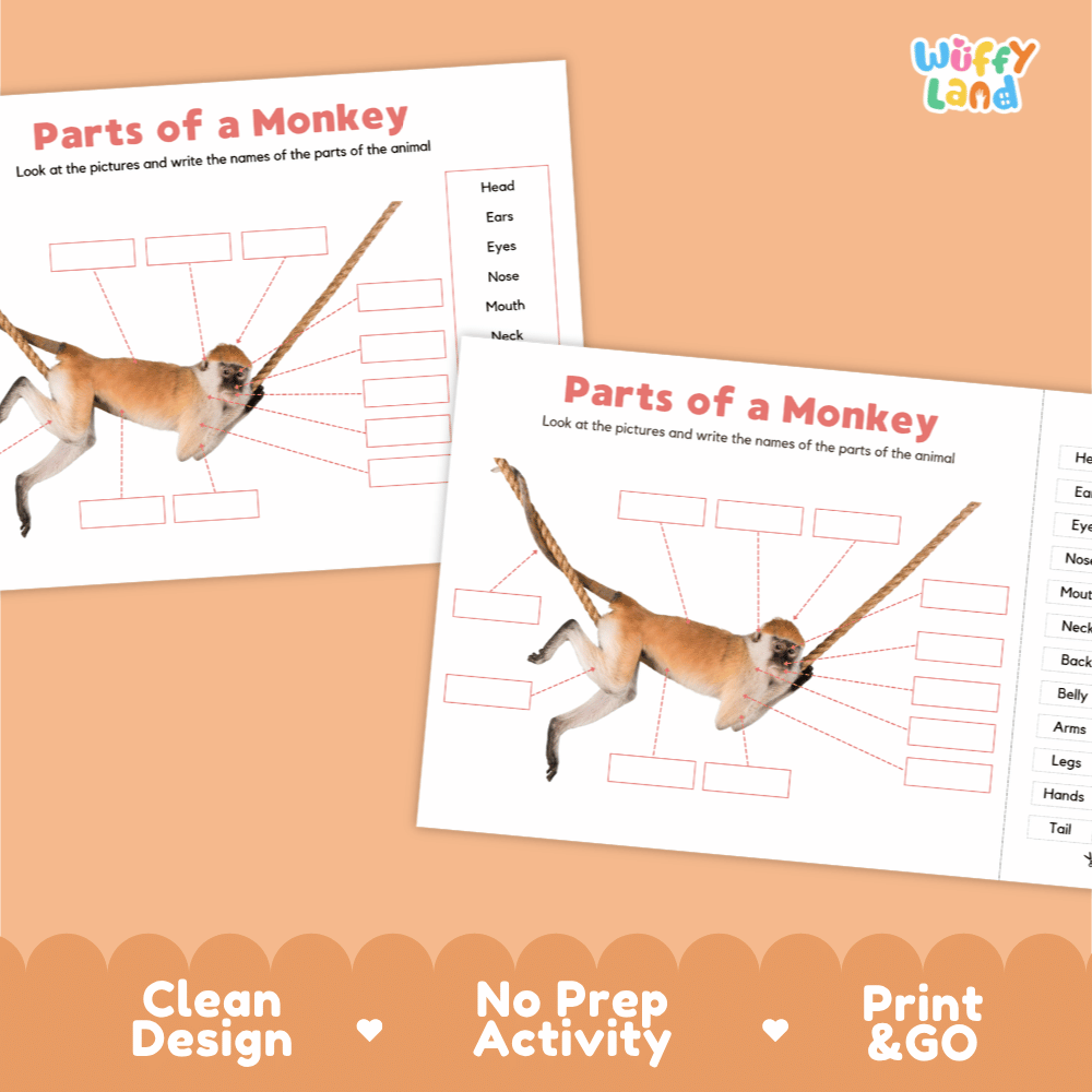 Printable monkey science activity worksheets highlighting clean design, no prep activity, and print and go badges