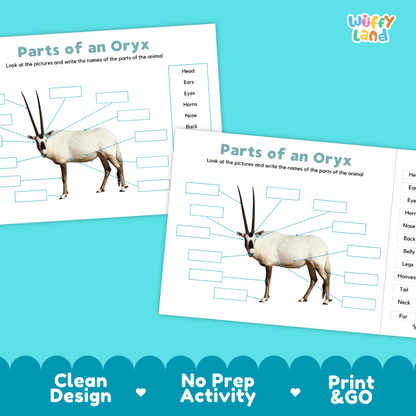 Printable oryx science activity worksheets highlighting clean design, no prep activity, and print and go badges