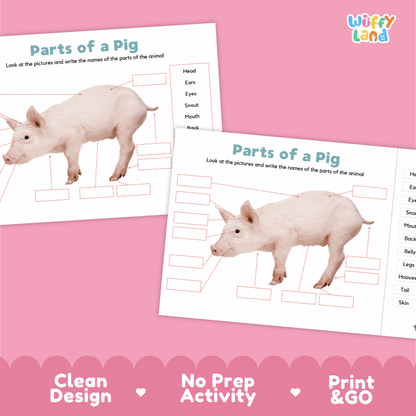 Printable pig science activity worksheets highlighting clean design, no prep activity, and print and go badges