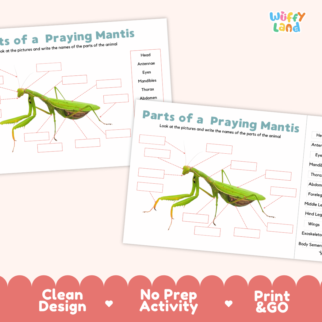 Printable praying mantis science activity worksheets highlighting clean design, no prep activity, and print and go badges