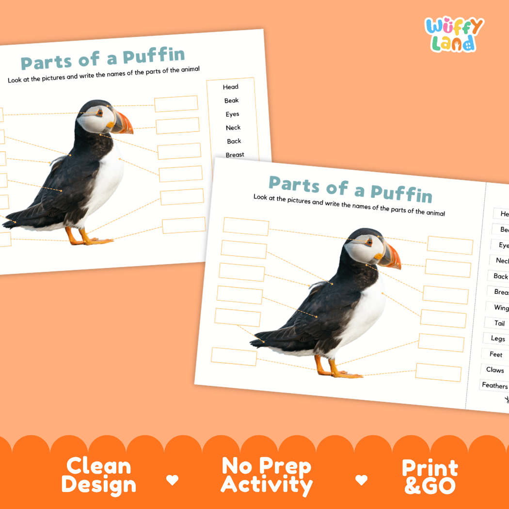 Printable puffin science activity worksheets highlighting clean design, no prep activity, and print and go badges