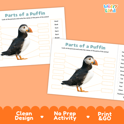 Printable puffin science activity worksheets highlighting clean design, no prep activity, and print and go badges