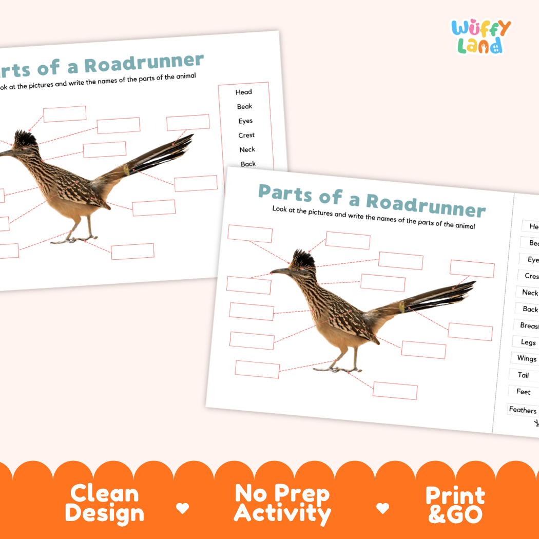 Printable roadrunner science activity worksheets highlighting clean design, no prep activity, and print and go badges