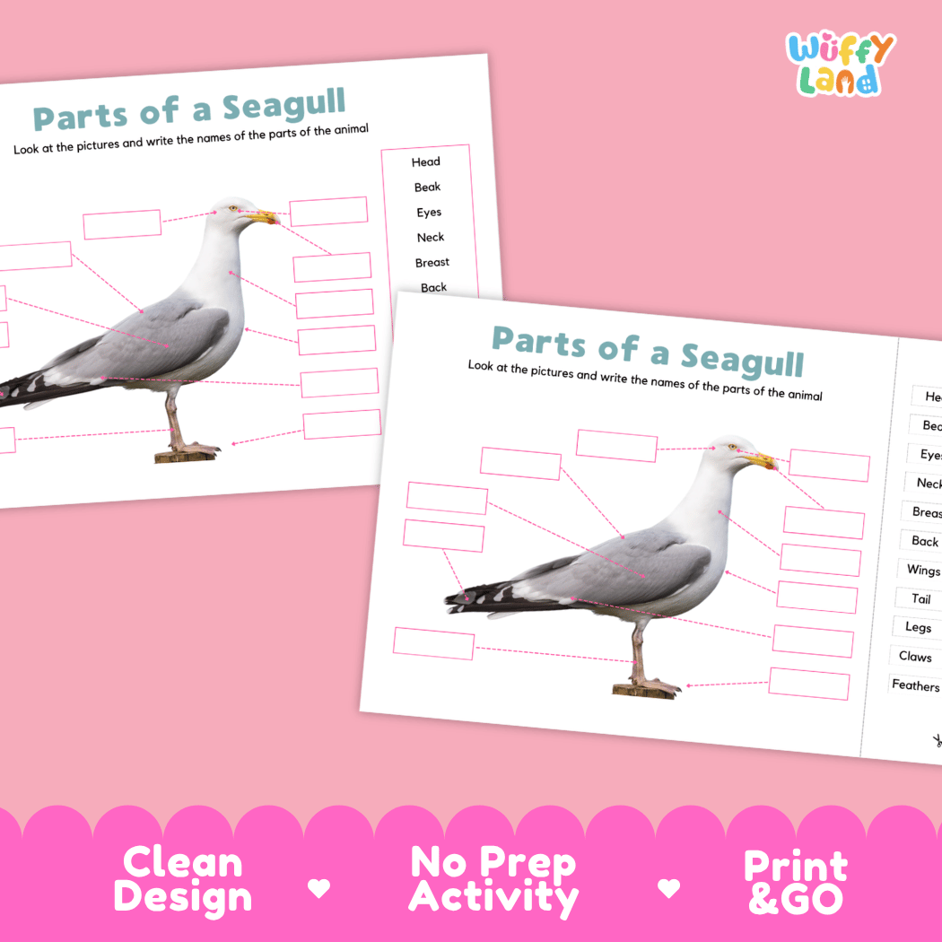 Printable seagull science activity worksheets highlighting clean design, no prep activity, and print and go badges