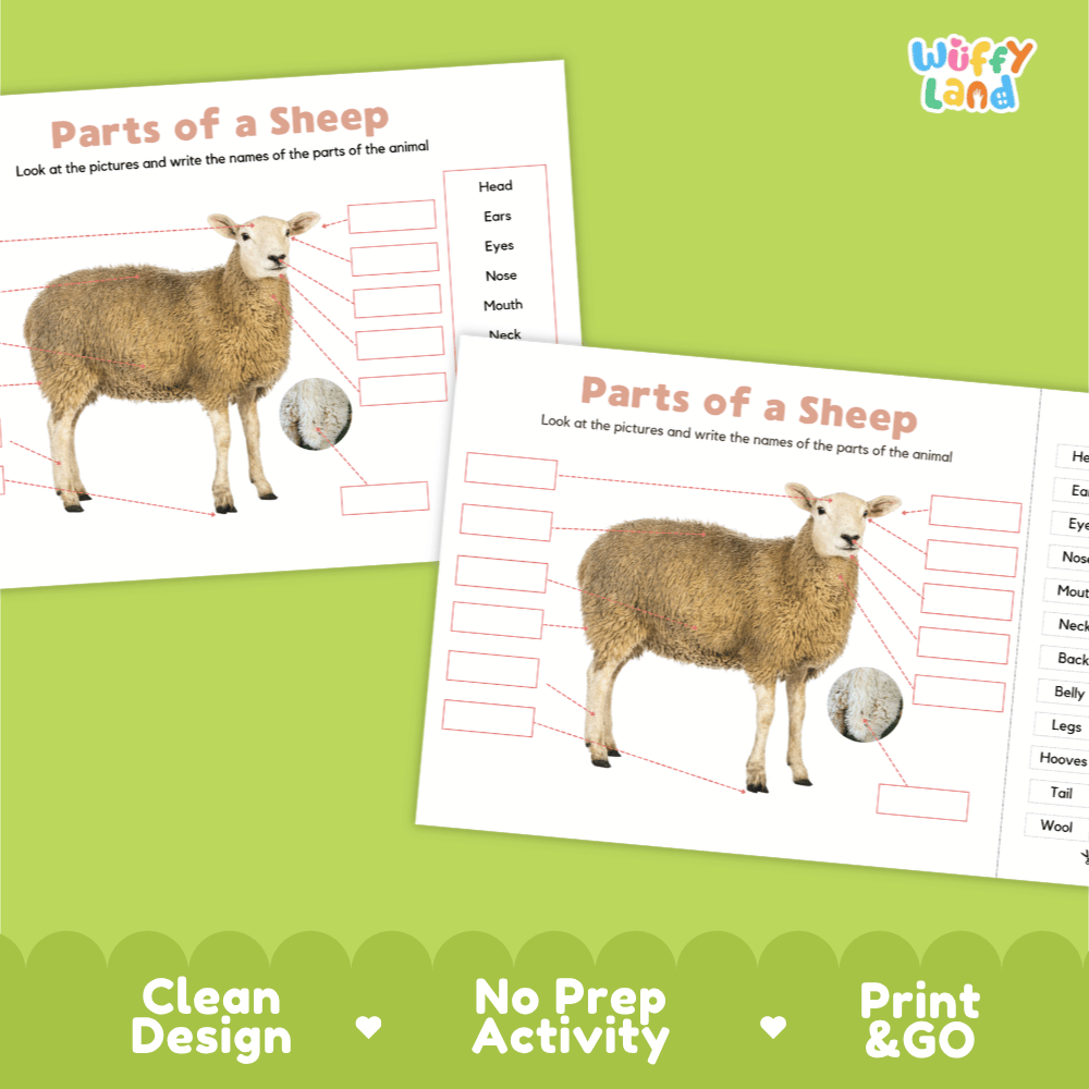 Printable sheep science activity worksheets highlighting clean design, no prep activity, and print and go badges