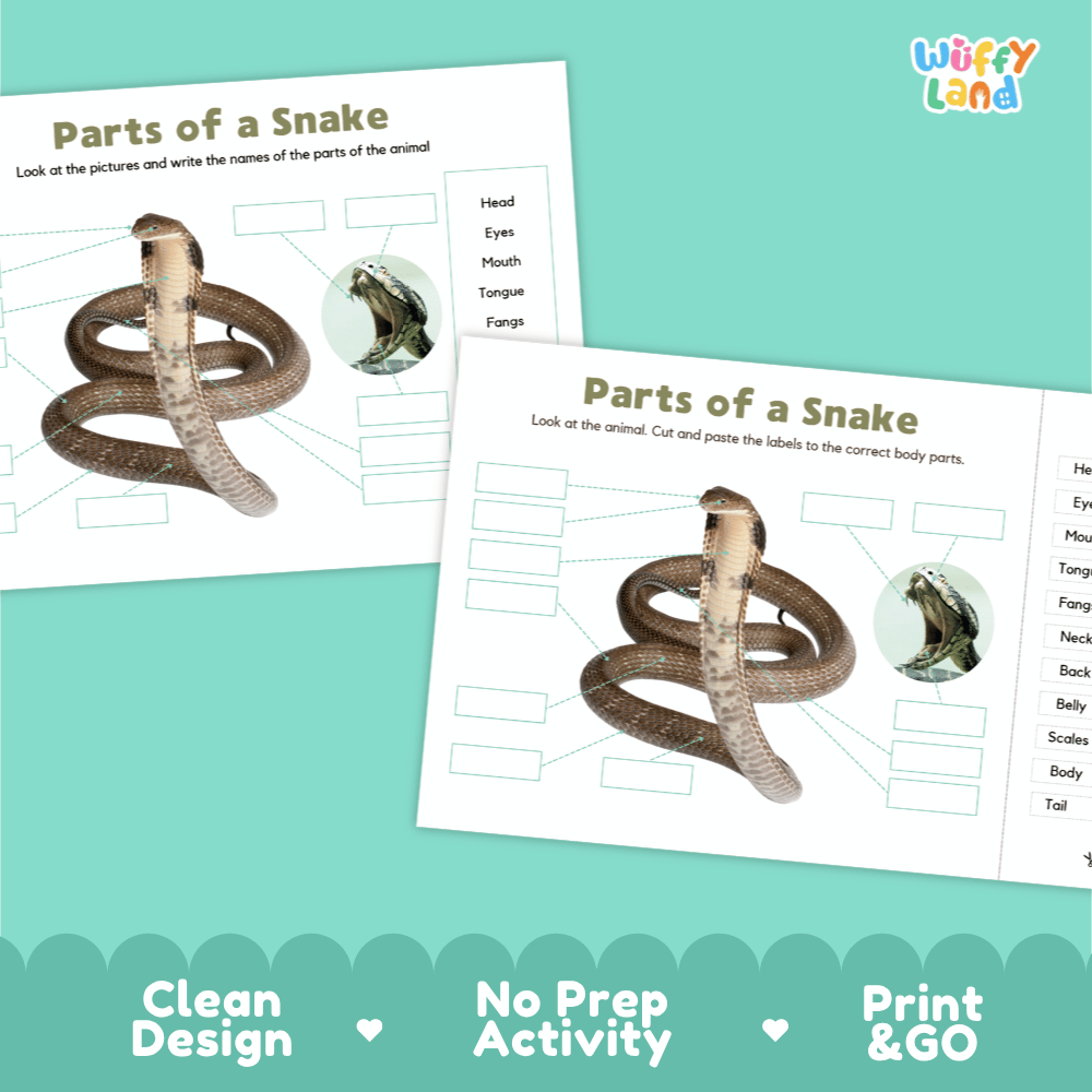 Printable snake science activity worksheets highlighting clean design, no prep activity, and print and go badges
