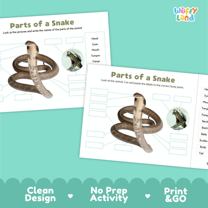 Printable snake science activity worksheets highlighting clean design, no prep activity, and print and go badges