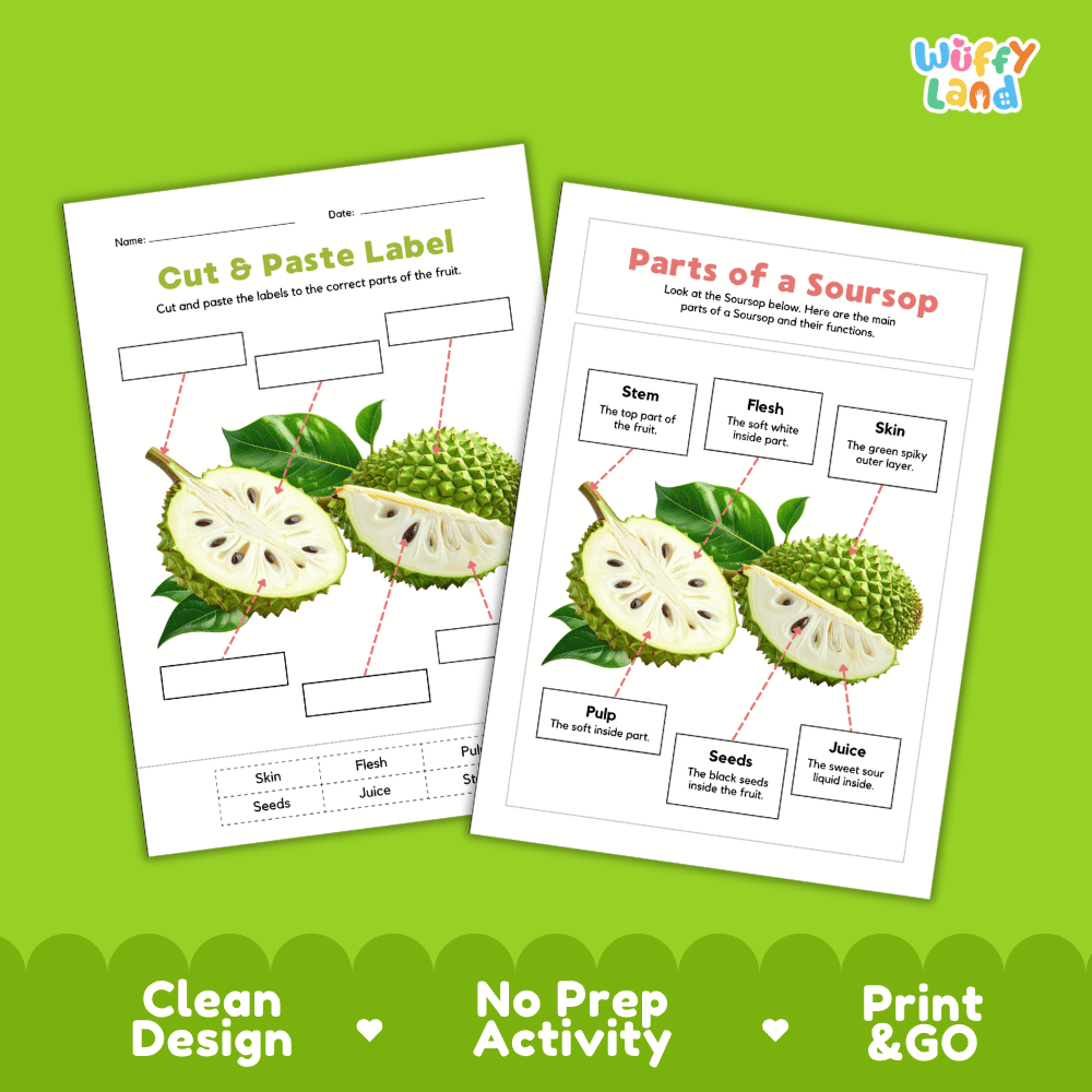 Printable soursop science activity worksheets highlighting clean design, no prep activity, and print and go badges