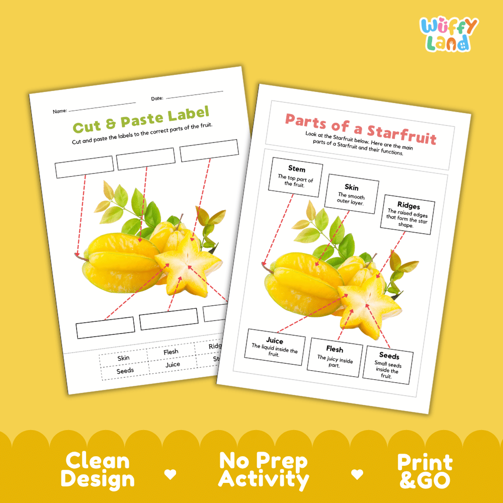 Printable starfruit science activity worksheets highlighting clean design, no prep activity, and print and go badges