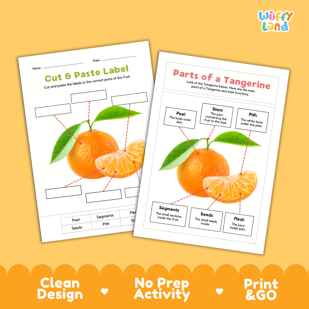 Printable tangerine science activity worksheets highlighting clean design, no prep activity, and print and go badges