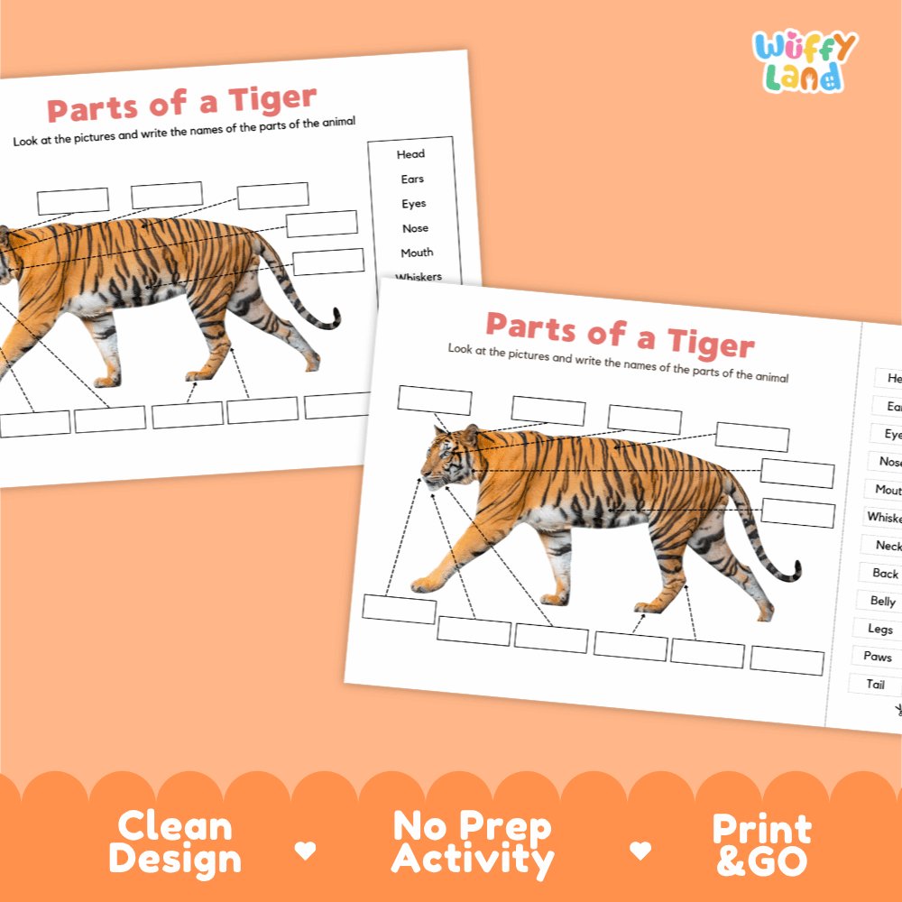 Printable tiger science activity worksheets highlighting clean design, no prep activity, and print and go badges