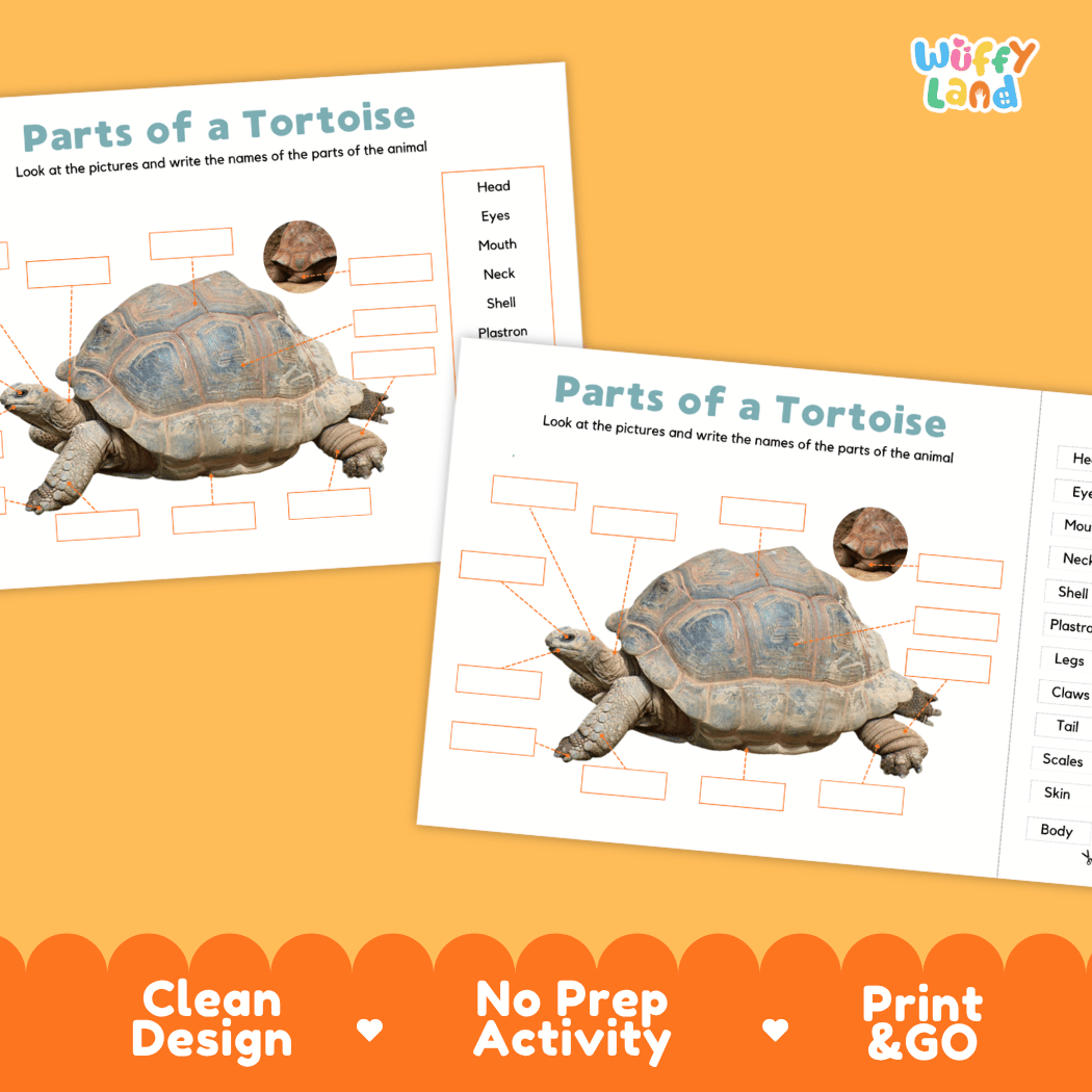 Printable tortoise science activity worksheets highlighting clean design, no prep activity, and print and go badges