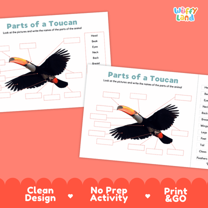 Printable toucan science activity worksheets highlighting clean design, no prep activity, and print and go badges
