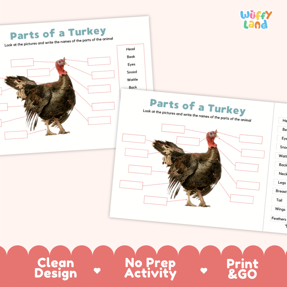 Printable turkey science activity worksheets highlighting clean design, no prep activity, and print and go badges
