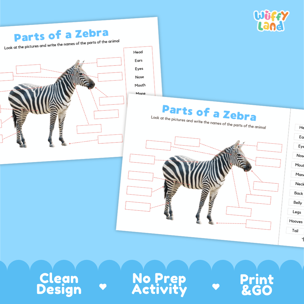 Printable zebra science activity worksheets highlighting clean design, no prep activity, and print and go badges